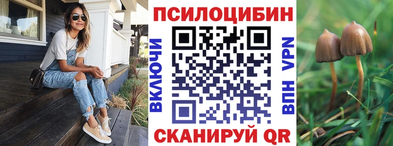 мориарти клад Майкоп Псилоцибиновые грибы прущие грибы продажа наркотиков
