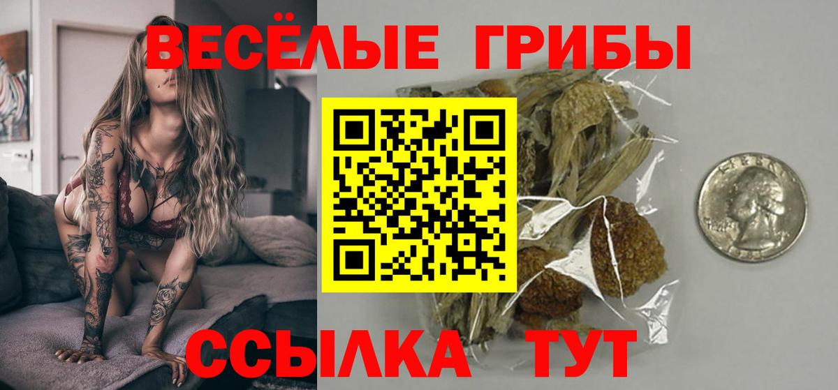 Галлюциногенные грибы прущие грибы  Галлюциногенные грибы мухоморы  Майкоп  Вход с VPN 