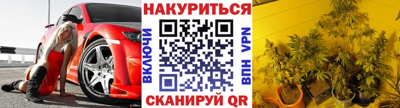 Шишки марихуана планчик  это телеграм  Майкоп 